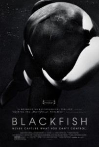 blackfish-99410563