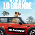 Marmaduke_C